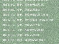 半岛体育电竞-正在进行的足球职业联赛比赛安排公布
