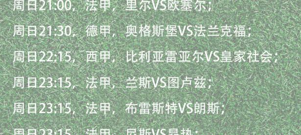半岛体育电竞-正在进行的足球职业联赛比赛安排公布