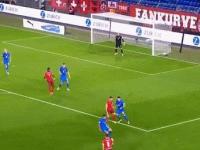 半岛体育下载-欧预赛：瑞士2-1逆转击败爱尔兰，斩获关键胜利