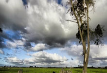 半岛体育入口-肯尼亚女足队展现团队力量赢家