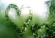 半岛体育入口-肯尼亚女足队展现团队力量赢家