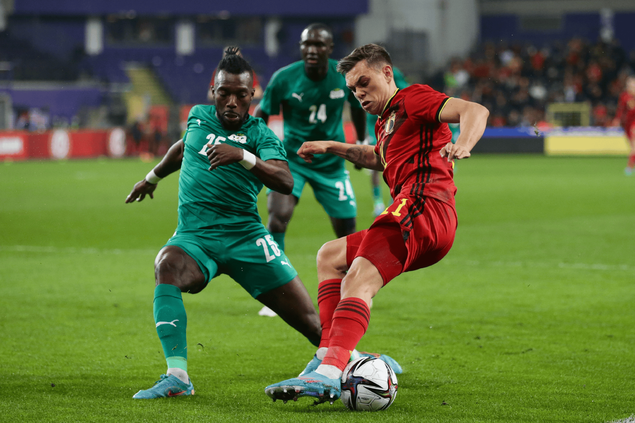 爱尔兰选手在国际比赛中表现出色