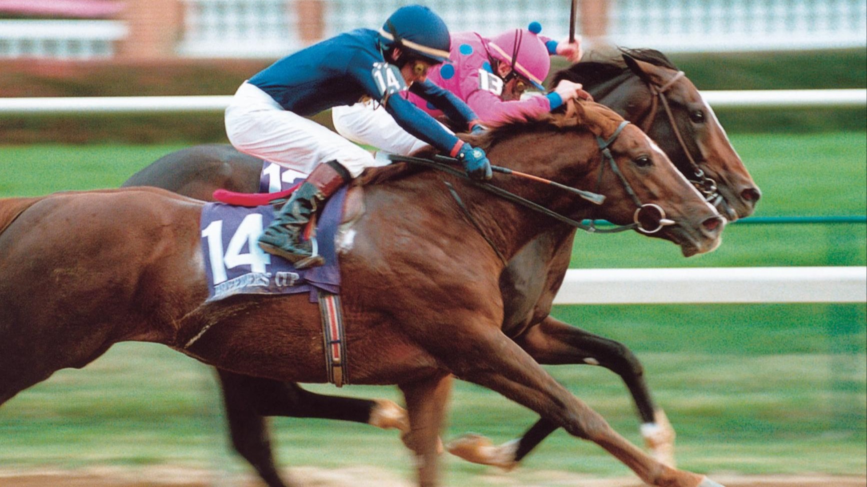 爱尔兰选手在马术比赛中获得好成绩