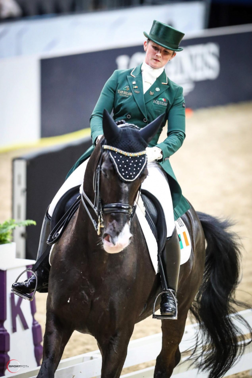 爱尔兰选手在马术比赛中获得好成绩